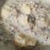 El cooksnap de Camilo Restrepo cuando hizo Desayuno de avena, plátano y Chía.