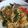 Cooksnap dari Isti Latifah untuk resep Mie dok-dok