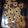 El cooksnap de Milagros Diaz cuando hizo Galletitas Cookies 😀.