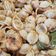 El cooksnap de elvira rovira sanchez cuando hizo Pasta (Orecchiette) con gambas.