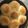 Haniyah’s kitchen's cooksnap of when they made Homemade bread.