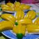 Cooksnap dari Erna Setyowati untuk resep KueKu