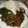 Lesley Moses's cooksnap of when they made Ugali matumbo ft african salad.
