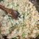El cooksnap de Lujan Valeiras cuando hizo Chow Fan estilo Zhù nǐ hǎo yùn (Buena suerte).