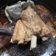 Rowena Tsang 的 肉骨茶 cooksnap