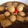 Cooksnap dari Ruhry M. Setyarini untuk resep Semur tahu puyuh