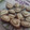El cooksnap de Mariela Torres cuando hizo 💫Galletitas espiral 💫 Sin Manteca y Sin Gluten.