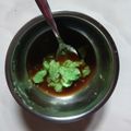 Cooksnap dari Kasriani Naruddin untuk resep Bubur Sum-sum Hijau