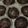 Cooksnap của Phương Lan khi họ làm theo món Cupcake Socola