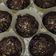 Cooksnap của Phương Lan khi họ làm theo món Cupcake Socola