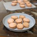 Cooksnap dari Vina Amelia Novitasari untuk resep Macaron (Swiss Meringue method)