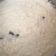 El cooksnap de Eli Guzman Paulino cuando hizo Arroz con leche 😋.