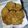 Urmi Desai's cooksnap of when they made ઘઉં ના લોટ ની મઠરી (Wheat Flour Mathri Recipe In Gujarati).