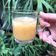 Cooksnap dari dewialwie untuk resep Korean Mango Yakult
