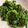 馴獸師在廚房 的 【媽媽家常菜】清炒豆苗🥬 cooksnap