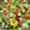El cooksnap de LuzMa SG cuando hizo Ensalada de fresas y uvas verdes.