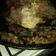 El cooksnap de Gabriela cuando hizo Pan de carne fácil, rápido y muy sabroso.