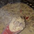 El cooksnap de Mayra Santos cuando hizo Salsa de Champiñones.