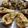 Satoshi Namai's cooksnap of when they made Baked pears with stilton cheese.