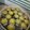 Cooksnap dari Susan Susanti untuk resep Pie susu simple