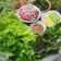 Cooksnap của Nguyễn Hoàng Yến khi họ làm theo món Bò nhúng dấm