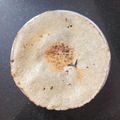 Jayshree Doshi's cooksnap of when they made રાજેસ્થાની બાજરા રોટી(Rajasthani Bajra Roti Recipe In Gujarati).