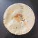 Jayshree Doshi's cooksnap of when they made રાજેસ્થાની બાજરા રોટી(Rajasthani Bajra Roti Recipe In Gujarati).