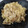 El cooksnap de Toñi cuando hizo Risotto de champiñones.