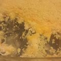 megan's cooksnap of when they made Granny's Chicken Casserole.