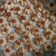 Cooksnap dari Herdina Santoso untuk resep 322. Kue Semprit Jadul