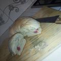 El cooksnap de Lourdes Vieta cuando hizo Pan casero con salame 😊.