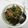 Cooksnap dari Andira 🌼 untuk resep Tumis Kangkung with Terasi