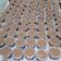 Cooksnap dari kristanti yulianingrum untuk resep Puding in Cup Cappucino Cincau