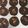 Cooksnap dari Jessica Krisanti untuk resep Fudgy and Chewy Chocolate Cookies
