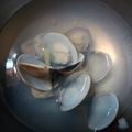 趙蓓蒂 的 薑絲蛤蜊湯 cooksnap