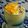 Anoushay's cooksnap of when they made Eggless Mango Mousse.
