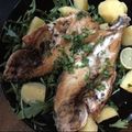 Cooksnap de Paula Aleixo quando cozinhou Dourada Grelhada.