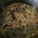Cooksnap dari ummu_khalid Fahimah untuk resep Gulai daun singkong sederhana