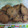 El cooksnap de Myriam cuando hizo Galletas de avena con naranja y chocolate.
