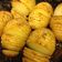 El cooksnap de Martíviri cuando hizo Patatas Hasselback suecas.