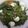 Cooksnap dari Fathonah Maysyaroh untuk resep Tumis kangkung telur puyuh