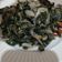 Cooksnap dari Arin untuk resep Tumis Daun Singkong Ebi