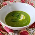 El cooksnap de Lena T cuando hizo Sopa de calabacita con cilantro.