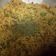 Sangita Vyas's cooksnap of when they made તવા પુલાવ.