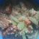 Cooksnap dari Jun untuk resep Sayur merah labu siam+tempe
