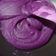 Cooksnap dari Anita Permatasari untuk resep Pasta Purple sweet potato (ubi ungu)