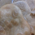 El cooksnap de Nay Espinoza cuando hizo ¡Torta fritas!.