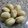 sawsan elsawa's cooksnap of when they made Gingerbread cookies.