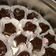 صورة من ساروونه 💕، شاركها بعد تجربة وصفة حلى الاوريو 🍫
