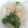 Cooksnap dari Yani untuk resep Wonton Soup